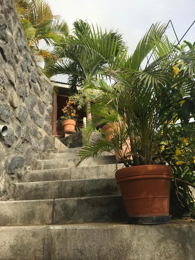 Villa Moai 974 Saint-Leu Extérieur photo